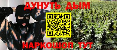стаф Новозыбков