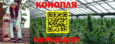 Альфа ПВП Новодвинск