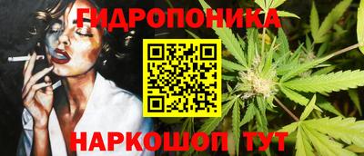 стаф Новозыбков