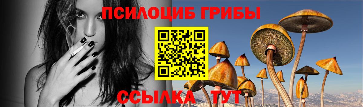 Галлюциногенные грибы MAGIC MUSHROOMS Тимашёвск